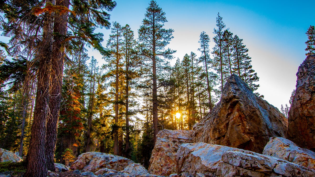 A Family of Three Died Mysteriously on a Hike. Here’s What Happened. 1 A Family of Three Died Mysteriously on a Hike. Here’s What Happened.