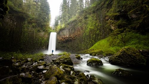 A travel shot taken along the Oregon coast. Burkard has spent 10 years as a professional photographer, but this will be his first children’s book.