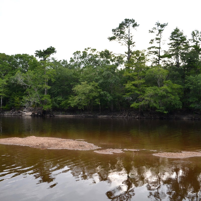 Threat: Excessive water withdrawals
At risk: Water supply, water quality, fish and wildlife habitat, recreation
The Edisto River is one of South Carolina’s most popular rivers for paddling, fishing, and outdoor fun. It’s also the state’s most heavily used river for irrigation, and excessive agricultural water withdrawals are threatening water quality and the water supplies of other users. While the state’s permitting process requires industrial and municipal water users to meet requirements to safeguard river health and clean water, large agribusinesses get a pass. The South Carolina House of Representatives has an opportunity to pass a law, H.3564, this year to end this exemption so that the Edisto—and all of the state’s rivers—can continue to provide sustainable water supplies while supporting river health and recreation.