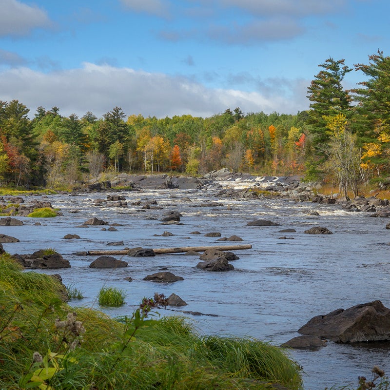 Threat: Copper-nickel sulfide mine
At risk: Clean water and wildlife habitat
Minnesota’s Arrowhead region is known for its pure and abundant waters, deep forests, expansive wetlands, and recreational opportunities. However, a proposed copper-nickel sulfide mine at the headwaters of the St. Louis River, the region’s main artery, threatens drinking water, wildlife, and treaty-protected hunting, fishing, and gathering rights of the Ojibwe people and all of region’s citizens.
