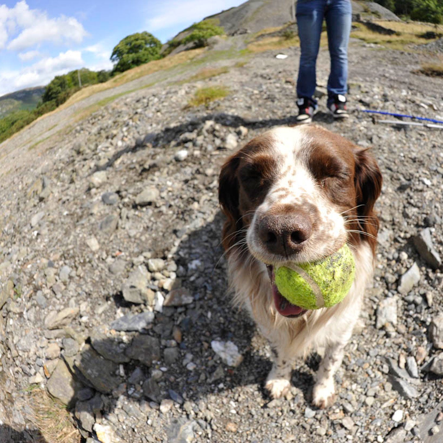 Man's best friend might actually love him after all.