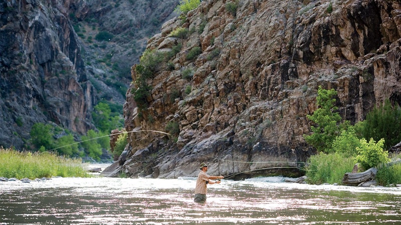 Fly-fishing the Gunnison.