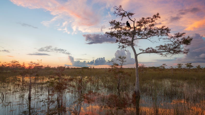 Sunset over the Everglades.