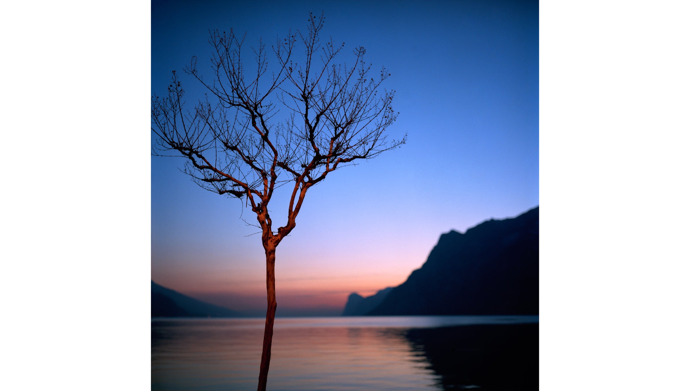 Lake Garda’s surrounding towns are home to olive and lemon groves despite the alpine location.
