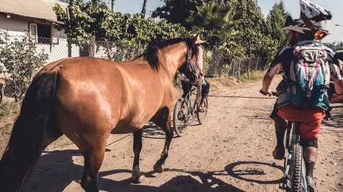 With over 4,000 feet of climbing and record-breaking heat, day three turned out to be the most difficult stage, leaving many racers wishing for a little more horsepower.