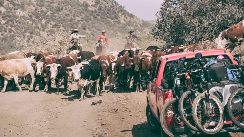 Rush hour in the Andes Pacifico takes on a completely different form than in the city as you head higher and farther into the mountains.