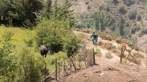 On day two, riders made their way down to the lower slopes of the Andes, and for the first time began to see signs of life: trees, green grass, and the occasional livestock.