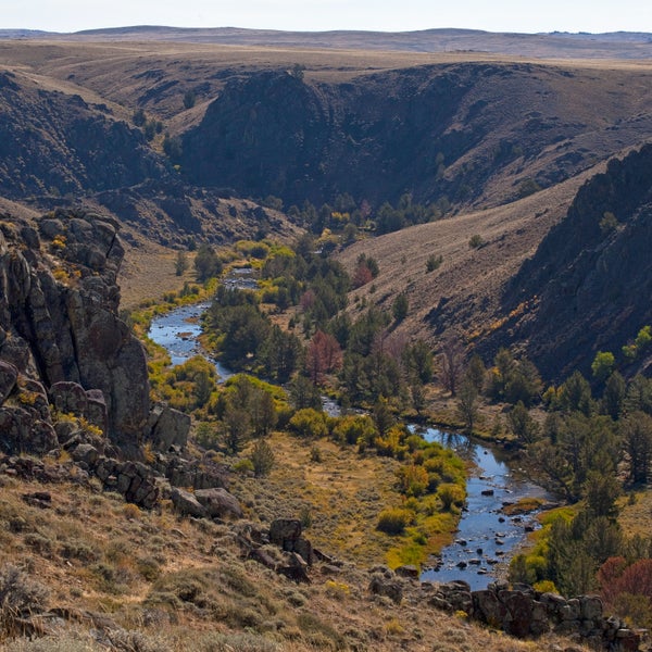 The Golden Trout Wilderness falls atop any list.