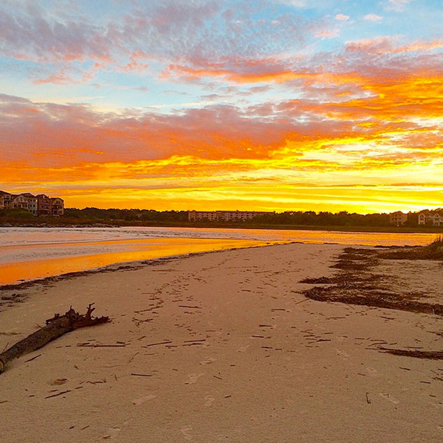You should never miss a sunset here, or the fishing on Page Island, waterskating on Bull Creek, exploring Pickney Island Wildlife Refuge, biking on South Forest Beach, or feasting on low country boils. After all that, go jump off the docks