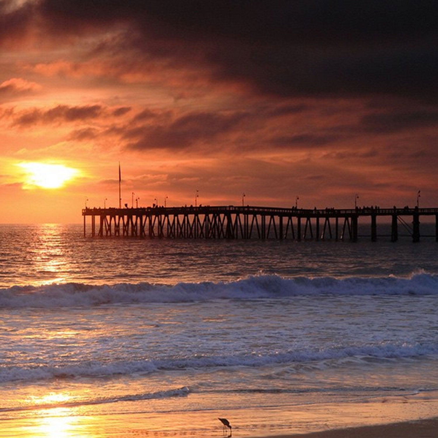 Surf some of the sweetest swells in Cali, then dine on some of the best dishes in the state. After dark, go see a live show at Squashed Grapes or one of the many other music venues. Periodically, meander over to the Pier or Grant Memorial Park at dusk to catch the sun melting into the Pacific.