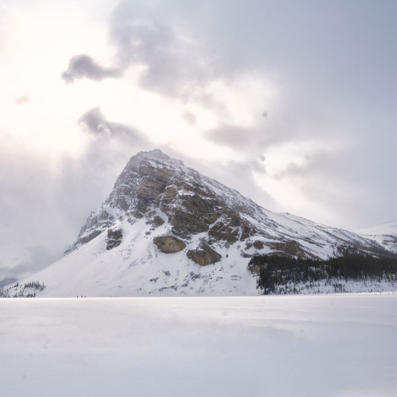 Little people in a big landscape, Bow Lake, Alberta.