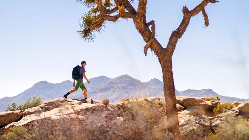 Joshua Tree National Park.