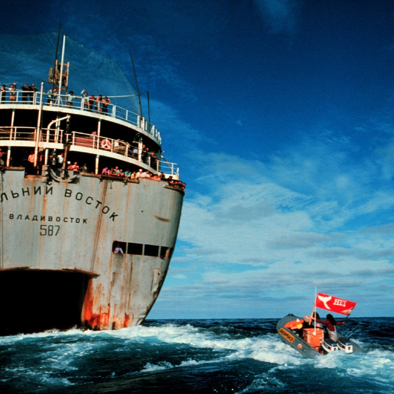 Using never-before-seen footage from Greenpeace’s first activists, documentarian Jerry Rothwell has crafted a high-seas environmental adventure that also pays due attention to the frustrating realities of social activism. It all starts with the ragtag group of Canadians facing down an atomic testing site in Alaska. The ensuing portrait of a small organization fighting environmental crime—and each other—is an unprecedented look at the idealistic, eccentric, overwhelmed founders who launched Greenpeace into the public eye.
Watch the trailer.