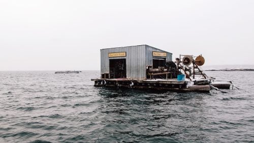 Bangs Island Mussels has been operating in Casco Bay, off the coast of Portland, Maine, since 1999.