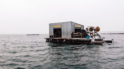 Bangs Island Mussels has been operating in Casco Bay, off the coast of Portland, Maine, since 1999.