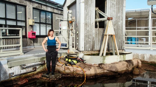 Jennifer Dianto Kemmerley, director of Monterey Bay Aquarium’s Seafood Watch program, gets ready to take a dive in the kelp forest on the roof of the aquarium. To Kemmerley’s left is a specially designed surge machine that creates the constant water movement in the tank that kelp needs to survive.