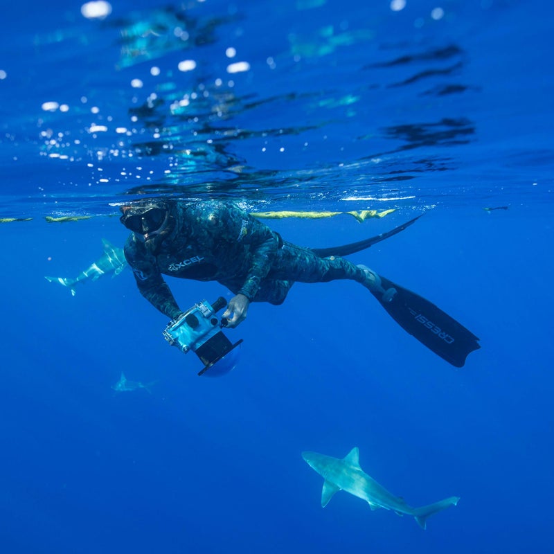 Hawaii’s water is not exactly chilly, but when you’re swimming for hours on end, your body temperature can drop. For long days, Oliphant likes to use Xcel’s new freediving suit. “A lot of freediving suits, you have to lube up to get on,” he says. “Not this one. It’s really comfortable.”