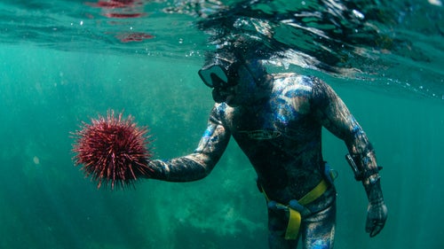 My friend Matahil Lawson grew up on a tiny island just west of Tofino. He and his family have always had a deep respect for the environment, and they're people I've always been inspired by. Here, Matahil is holding a urchin he collected on the Central Coast of B.C. You can eat their meat raw: it’s delicious.