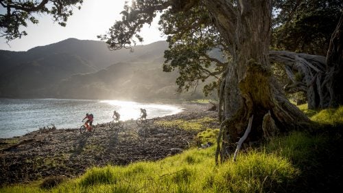 Part of Stony Bay’s glory lies in the freedom from tourist crowds. We set off at first light to ride part of the Coromandel Walkway, a stunning single-track ride, and didn’t see anyone else.