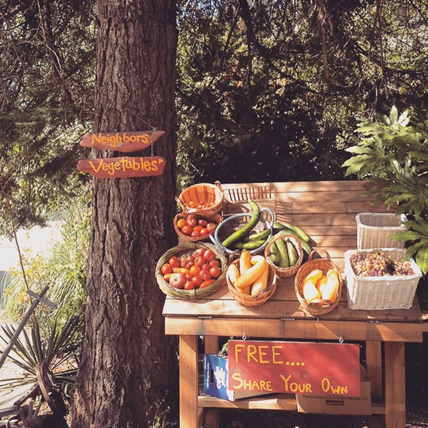 Why do I love Nevada City? Well there are countless reasons (see the blog for just a few of them), but since @outsidemagazine is asking for suggestions on the #besttowns2015 here is an opportunity to share reason #859274, the Outside Inn's free veggie cart. I mean who doesn't love a small town that shares extra fruits and veggies with their neighbors for free? Looking forward to another summer of watching people smile as they give and receive.