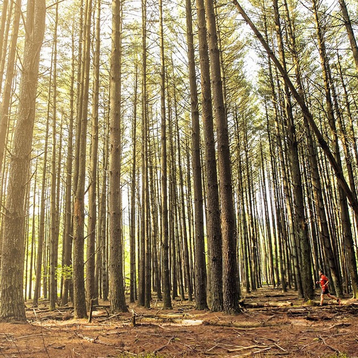 Roanoke, VA #Besttowns2015 #RoanokeOutside