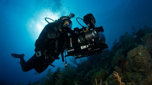 Casagrande swims with an Epic Dragon Red camera which shoots at a resolution of 6,000 pixels or 6k. When visibility is good, Casagrande swims and films without a cage. He sometimes spends 300 days a year on assignment filming sharks, but often brings his family on location. His one-year-old son already loves sharks, he says.