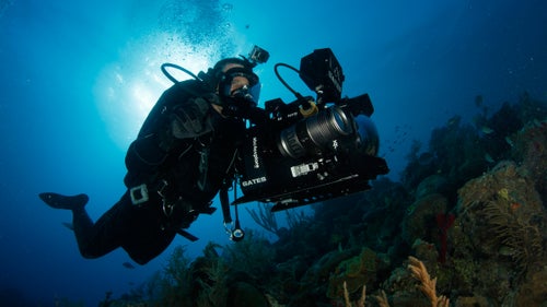 Casagrande swims with an Epic Dragon Red camera which shoots at a resolution of 6,000 pixels or 6k. When visibility is good, Casagrande swims and films without a cage. He sometimes spends 300 days a year on assignment filming sharks, but often brings his family on location. His one-year-old son already loves sharks, he says.