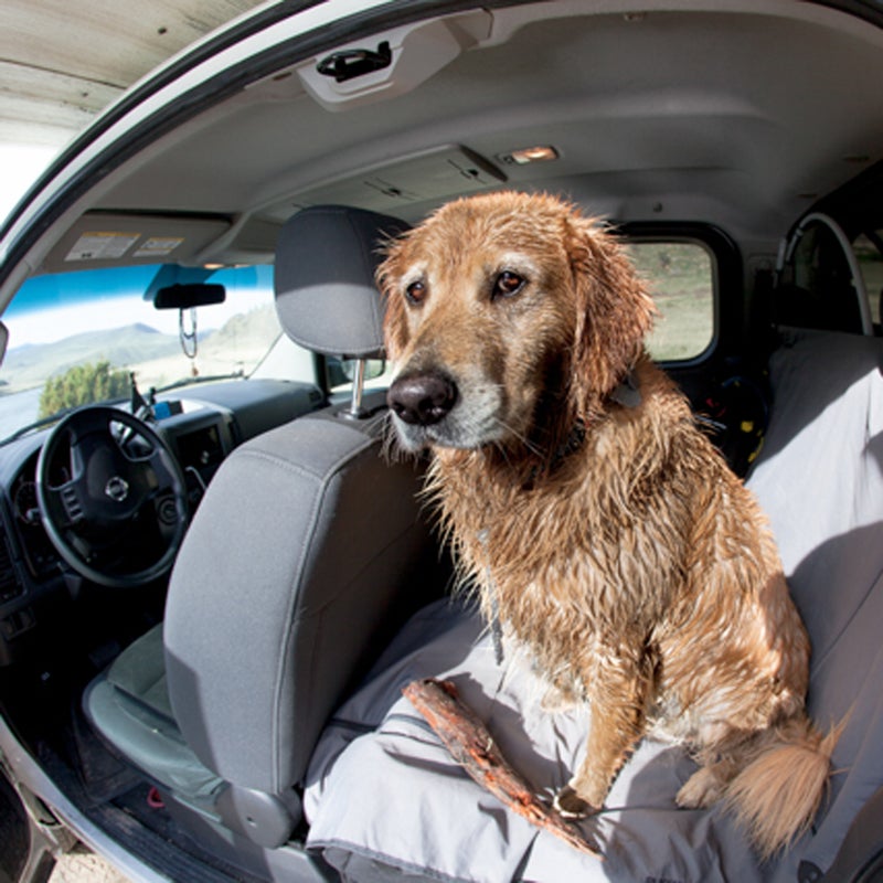 My dog, Booter, loves to get as dirty as possible. So the RuffWear Dirt Bag seat cover is an essential piece of equipment for any adventure: Booter can still have fun, and my truck isn't absolutely destroyed. Win!