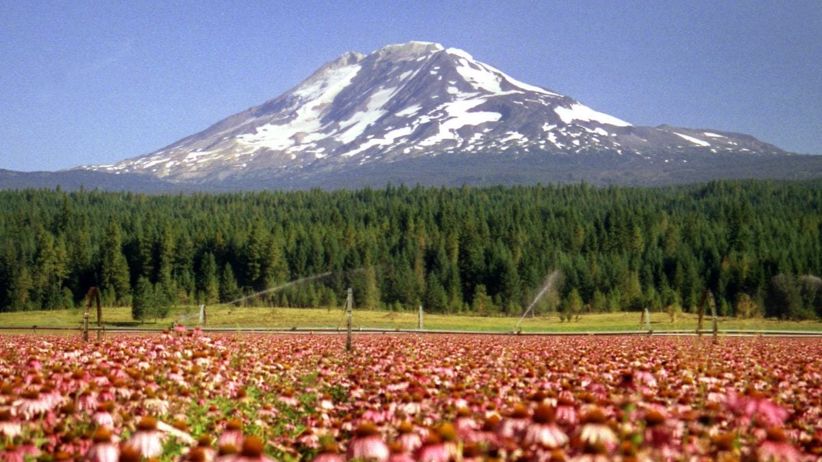 Wildfire Closes Part of Pacific Crest Trail