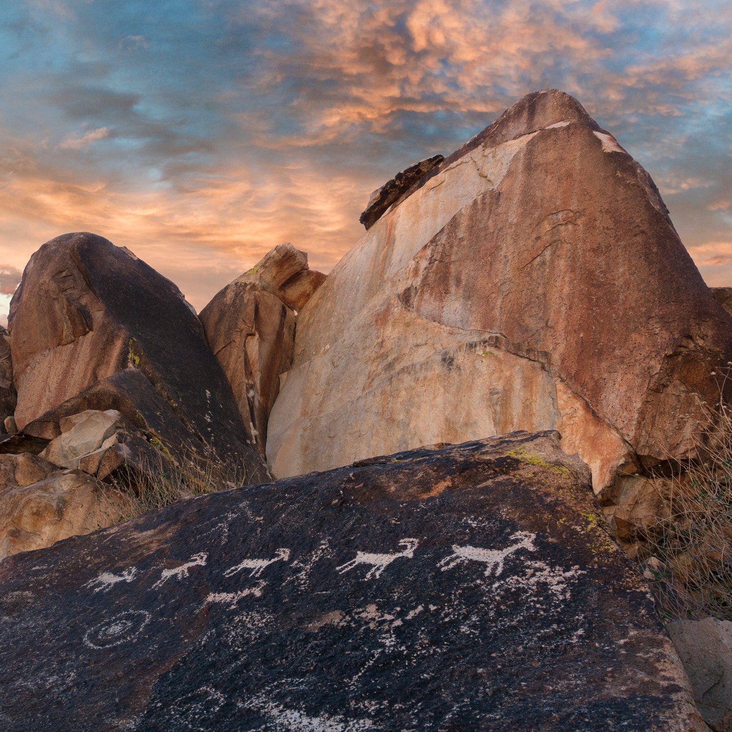 KEEN will strive to collect 100,000 signatures on a petition to protect roughly 3 million acres of land. The areas are made up of public lands, including Idaho’s Boulder-White Clouds, Nevada’s Gold Butte, California’s Mojave Desert, West Virginia’s Birthplace of Rivers, and Oregon’s Owyhee Canyonlands.
