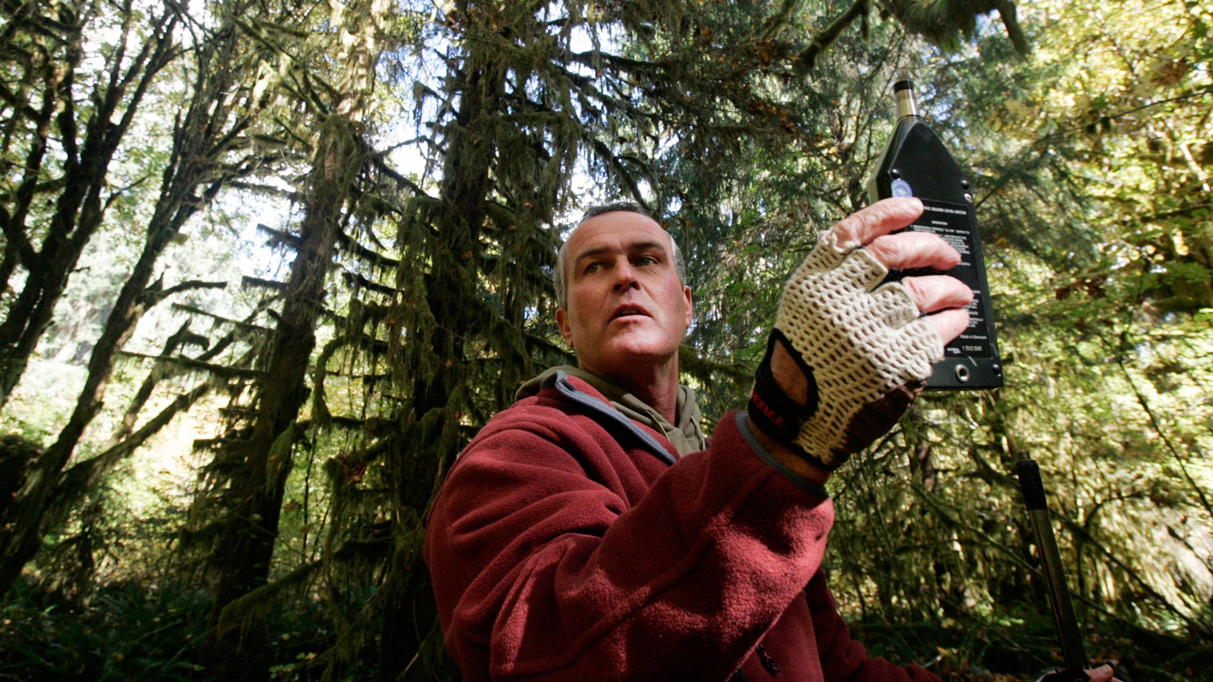 Gordon Hempton uses a sound level meter on the Hoh River Trail.
