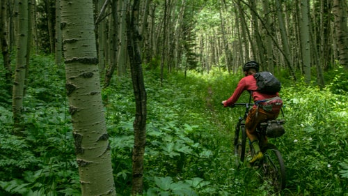 Goat Creek trail, on day three, is some of the single track worth trying. Winding through young Aspen groves and over creeks, it occasionally crosses into