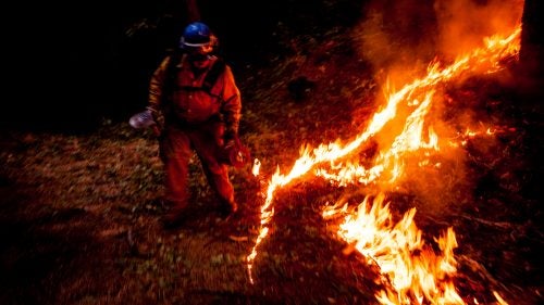 A firefighter sets a back fire on the Rim Fire near Buck Meadows, California, on August 22, 2013.