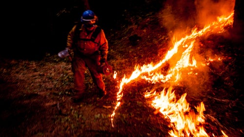 A firefighter sets a back fire on the Rim Fire near Buck Meadows, California, on August 22, 2013.