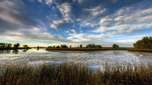 Shive: The thing all urban refuges have in common is that they never cease to surprise you with their beauty and accessibility. Rocky Mountain Arsenal is located eight miles northeast of downtown Denver, so it’s a quick and wonderful escape.