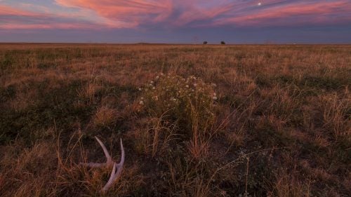 Shive: Finding a whitetail antler out in the open grasslands of this refuge made a perfect foreground for a pastel-colored sunset. Besides being places for hiking and wildlife watching, the refuges offer a quick escape for city dwellers to work on their photography.