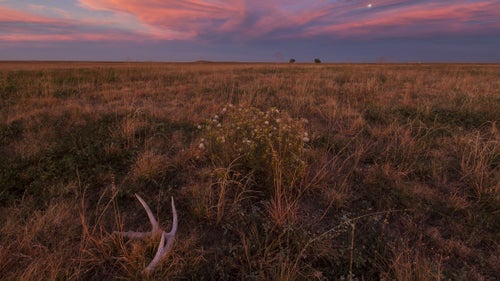Shive: Finding a whitetail antler out in the open grasslands of this refuge made a perfect foreground for a pastel-colored sunset. Besides being places for hiking and wildlife watching, the refuges offer a quick escape for city dwellers to work on their photography.