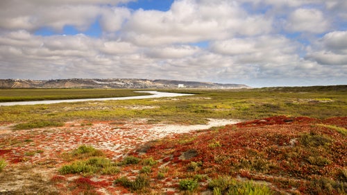 This oceanside refuge is home to endangered nesting bird colonies and provides a beautiful open space to the surrounding communities. “This refuge is uniquely situated along the U.S.-Mexico border and plays an important role in giving urban communities some open space,” Shive says. This photo was taken from the U.S. but the buildings in the far distance in are in Mexico.