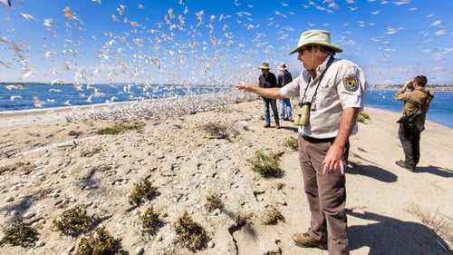 When the U.S. Fish and Wildlife Service launched the Urban Wildlife Conservation Program in 2012, it had one vision: to bring wildlife viewing and outdoor exploration to ten demographically and geographically varied cities across America by 2015. The service surpassed those expectations this summer. There are now 14 Urban Wildlife Refuges—classified as regional priorities—that connect 80 percent of Americans living in cities to wild places, from the bayou of New Orleans to the Detroit River.
“It’s a change in the way we operate so that a larger metropolitan audience can access, enjoy, and experience wildlife in its native environment,” says Teri Jillson, president at Valle de Oro National Wildlife Refuge in Albuquerque, in a USFWS video. “Somehow we’ve lost a little bit of touch with the environment, and we need to reconnect.”
Photographer Ian Shive had the opportunity to explore these wildlife refuges and document those reconnections between the urban and the environment by teaming up with Los Angeles-based photography agency Tandem Stock. Here, he shares some of his most memorable experiences with us.