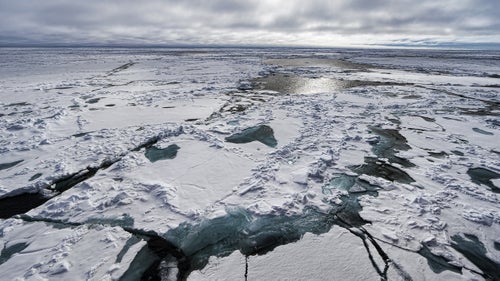 Two days out from Murmansk, we start to encounter sea-ice—a welcome juxtaposition from the cold-war era facilities of the Peninsula. Each degree of latitude brought more ice and more mystery. As the ice thickens, we enter the dominion the Polar Bear.