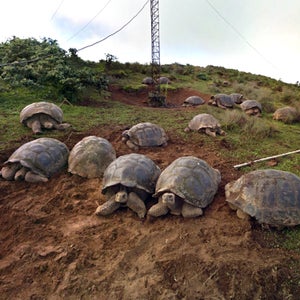 Google was allowed to take their Trekker to areas that are off-limits to tourists.