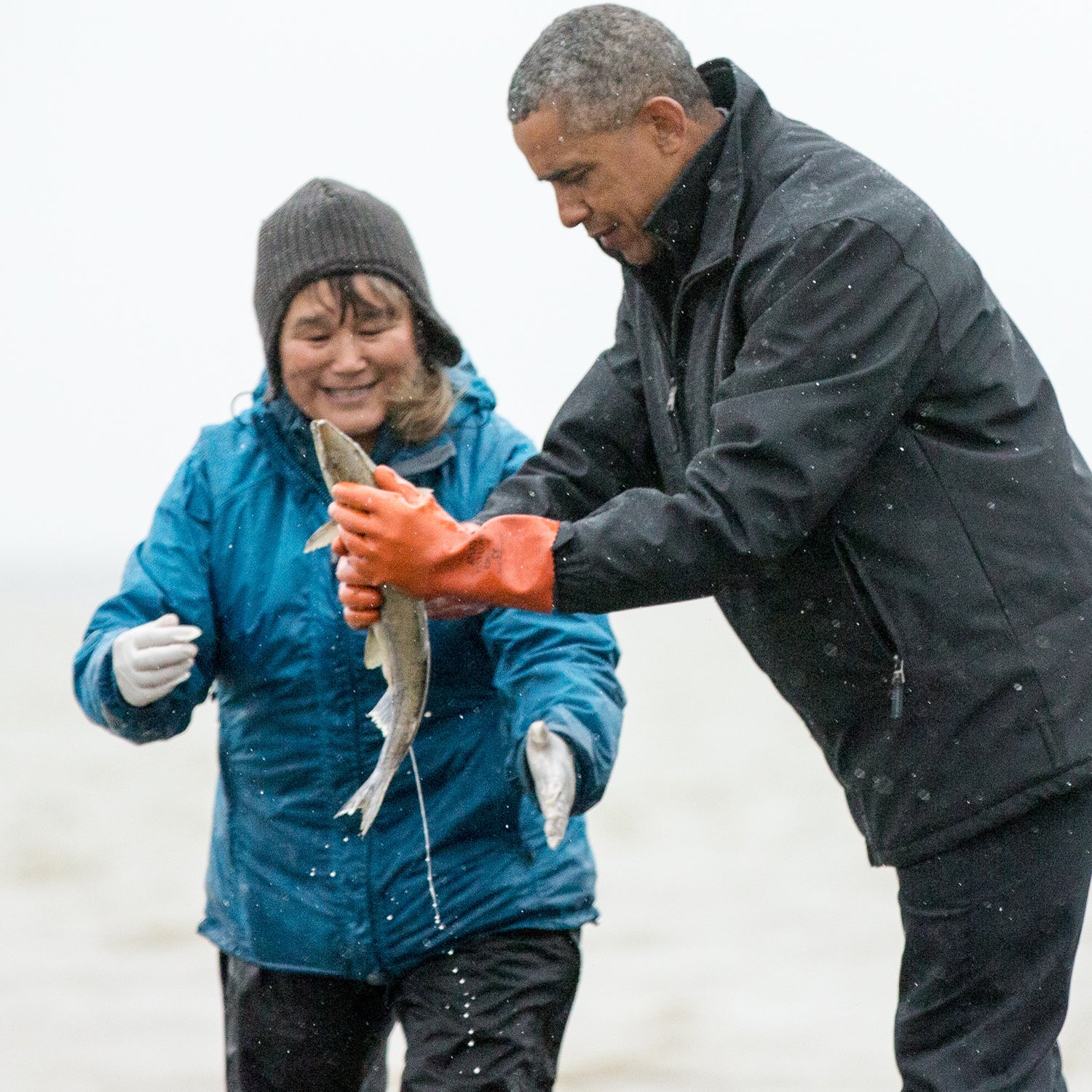 President Barack Obama reacts as a fish he is holding releases milt, the sperm-containing fluid of a male fish, while visiting with Commercial and Subsistence Fisher Kim Williams on Kanakanak Beach, Wednesday, Sept. 2, 2015, in Dillingham, Alaska. Obama is on a historic three-day trip to Alaska aimed at showing solidarity with a state often overlooked by Washington, while using its glorious but changing landscape as an urgent call to action on climate change. (AP Photo/Andrew Harnik)
