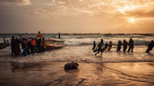 This is Port de Pêche, or Fishermen's Beach, in Nouakchott, the capital city of Mauritania. It’s where local people are able to catch fish, but only ones rejected by the Japanese, Korean, and Chinese factory ships beyond the horizon.