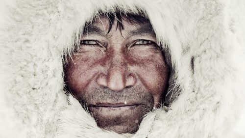 The Nenets people are a nomadic tribe of more than 10,000 who herd more than 300,000 reindeer in the Siberian arctic, one of the most uninhabitable places on earth, where temperatures plummet to minus 58 degrees in winter and reach 95 degrees in the summer. On their annual migration of more than 600 miles, the Nenets move huge herds of reindeer from summer pastures in the north to winter pastures just south of the Arctic Circle in single-file reindeer trains that can stretch out to five miles in length. Reindeer provide a source of food, shelter, clothing, transport, spiritual fulfilment, and means of socialising though the Nenet oral history. “The Nenet believe that people and deer entered a kind of social contract, where reindeer offered themselves to humans for their subsistence and transport, and humans agreed to accompany them on their seasonal migrations and protect them from predators,” Nelson writes.