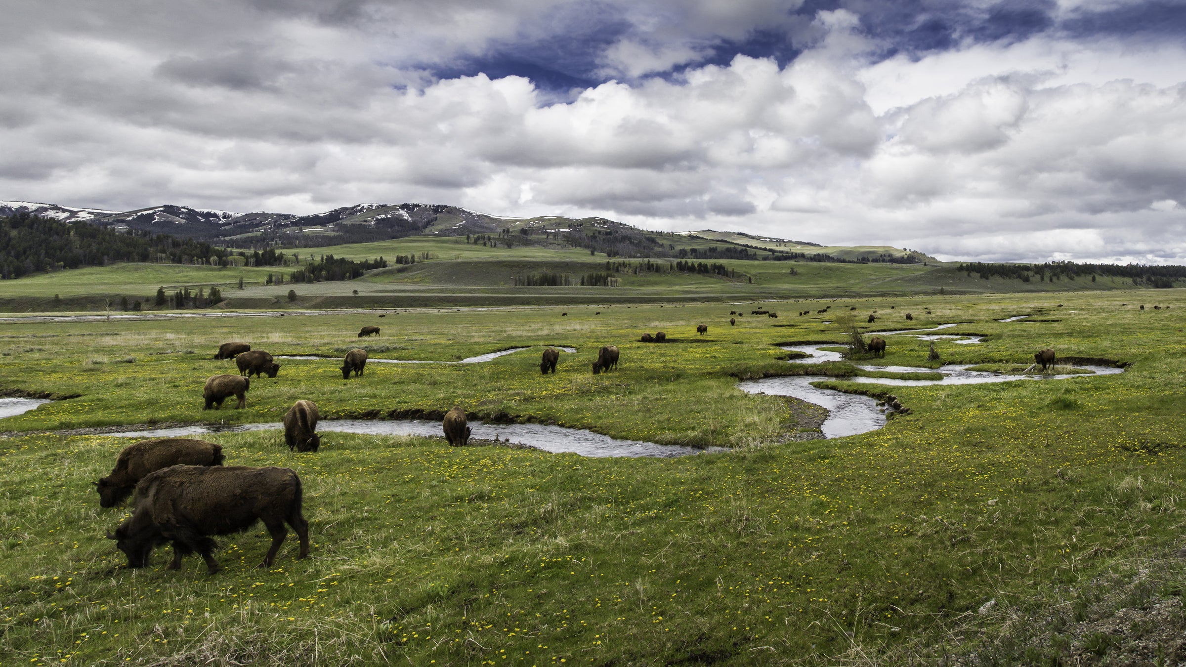 Congress has until the end of September to keep the Land and Water Conservation Fund from expiring.