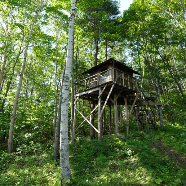 It's your tree house, too. Build it to last.