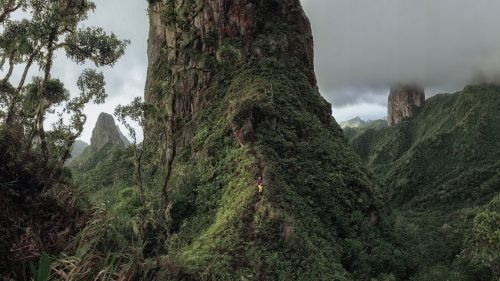 Libecki and Payne cut a trail to Poumaka and take in the view of the tower from the base for this first time. Everything was so dense and the jungle seemed to climb right up the tower with the same overgrown ferocity it possessed on the ground.