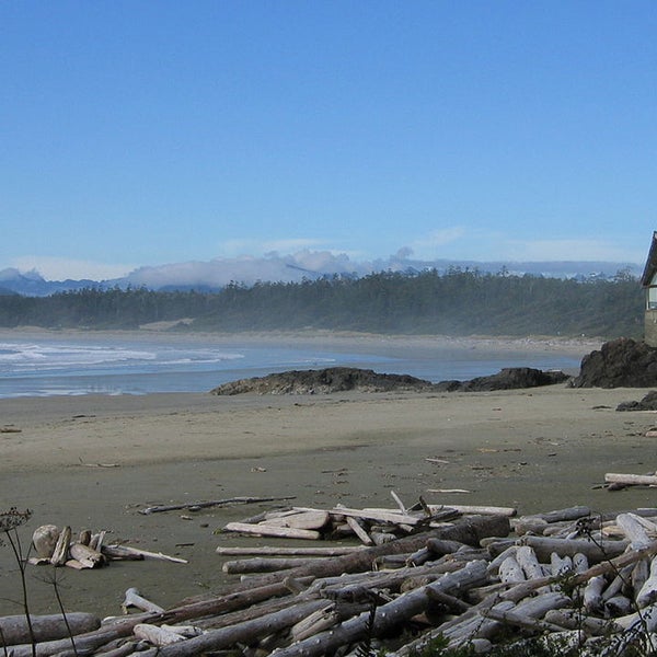 The whale-watching boat sank 8 nautical miles west of Tofino, British Columbia.
