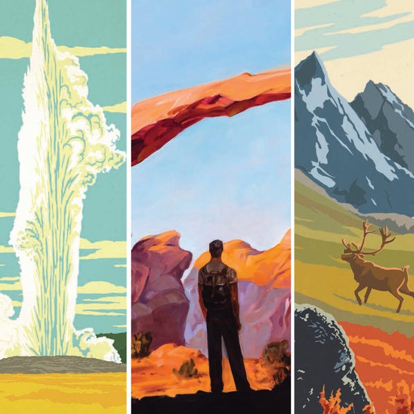 From left, illustrations by: Julian Baker & Joel Anderson; Kai Carpenter; David Anderson and Aaron Johnson.