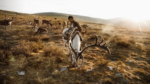 When you think of Mongolia, you might imagine endless, rolling steppes or the sweltering sands of the Gobi. Or horses, or yurts. (They’ve got those, right?) Lush alpine forests and fuzzy-antlered reindeers don’t typically make the cut.
But we had heard of an area in the far north of Mongolia that straddles the Russian border. An area where a nomadic reindeer-herding tribe dwells for the summer months. An area called the Darkhad Depression, only reachable by foot or horseback. We had also heard that you could hire a guide, hop on horses, and visit this place.